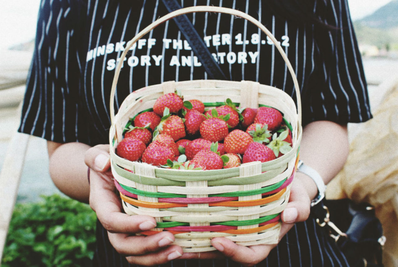 woman-holding-basket-filled-with-strawberries-photo-bryan-burgos-unsplash