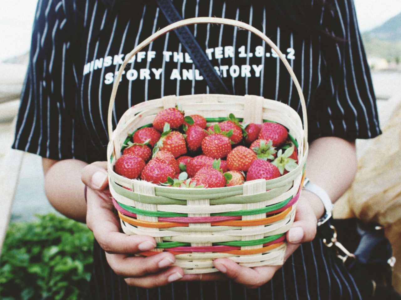 woman-holding-basket-filled-with-strawberries-photo-bryan-burgos-unsplash